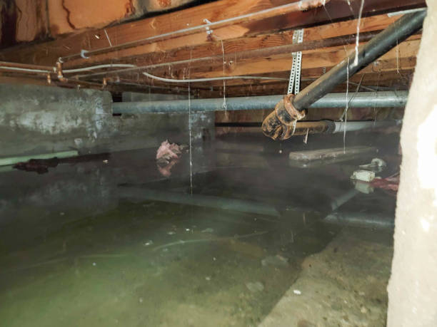 Best Water damage restoration near me  in Waynesville, OH