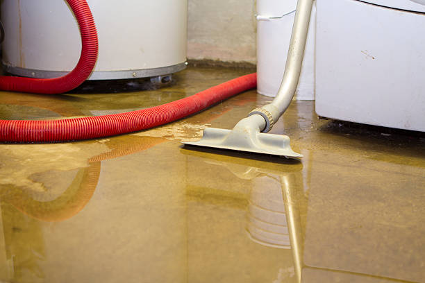 Best Water damage restoration services  in Waynesville, OH