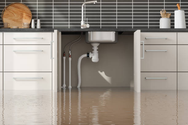 Best Water damage contractors near me  in Waynesville, OH